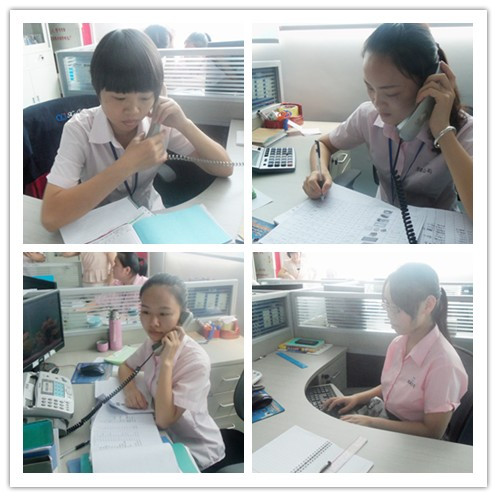 卧龙计划软件app团队