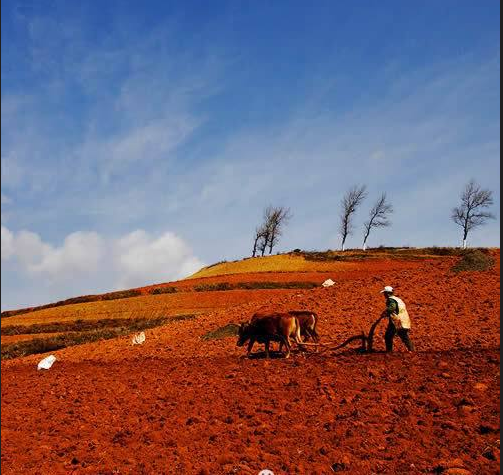 卧龙计划软件app