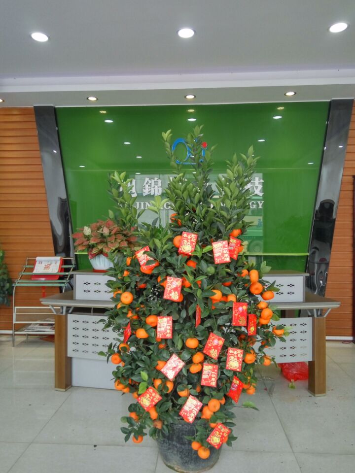 卧龙计划软件app&mdash;&mdash;大吉大利