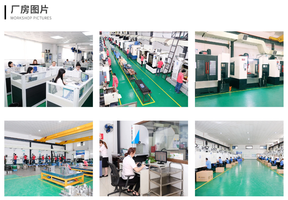 中山市新版卧龙计划软件官网